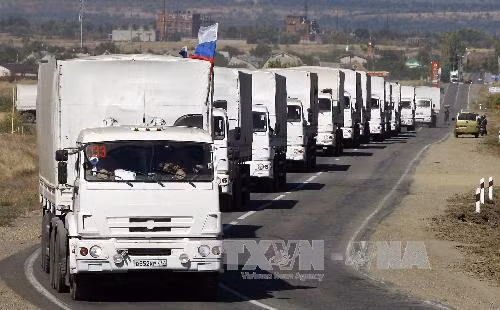 Nga lập ủy ban hỗ trợ nhân đạo cho Đông Ukraine ảnh 1
