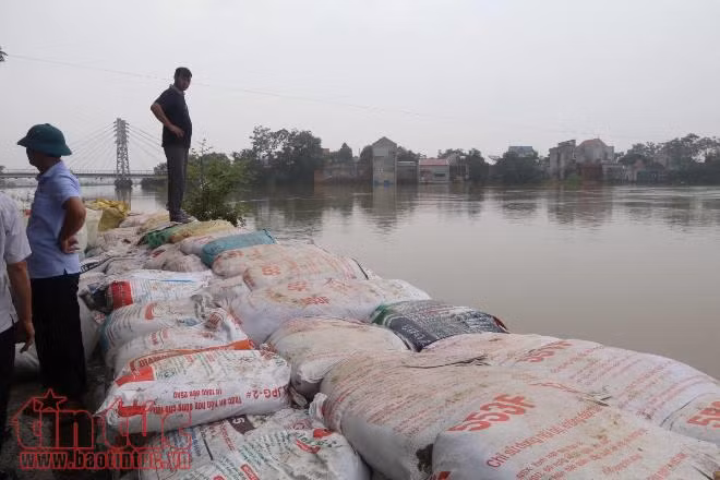 Chương Mỹ đang nỗ lực từng giây từng phút chống nước lũ, bảo vệ đê ảnh 3