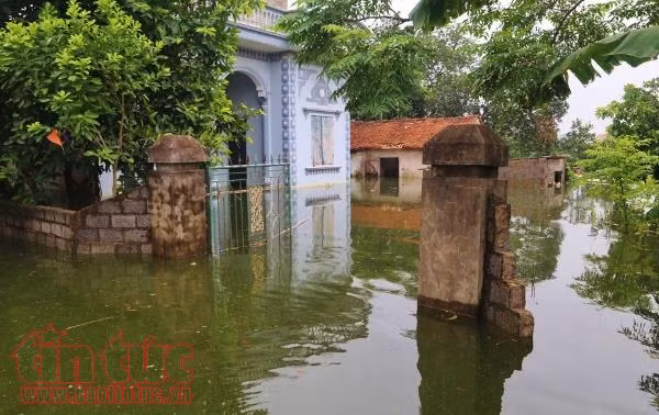 Nước ngập sâu, rác nổi lềnh phềnh, người dân Chương Mỹ dùng thuyền đi lại ảnh 3