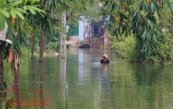 Nước ngập sâu, rác nổi lềnh phềnh, người dân Chương Mỹ dùng thuyền đi lại ảnh 5