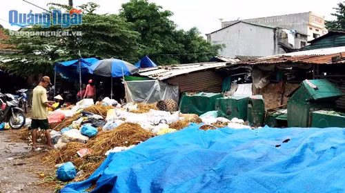 Nhà máy xử lý chất thải rắn sinh hoạt Đức Phổ chỉ thu gom rác thải trên địa bàn huyện ảnh 1
