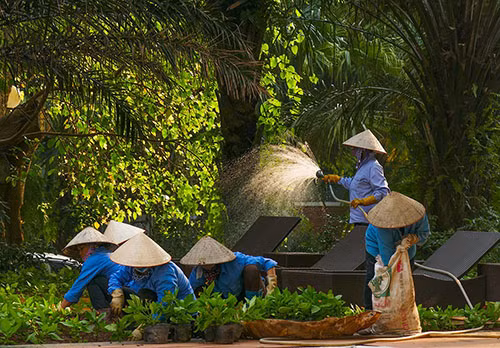 Khi những nông dân chuyển đổi nghề thành công ảnh 1
