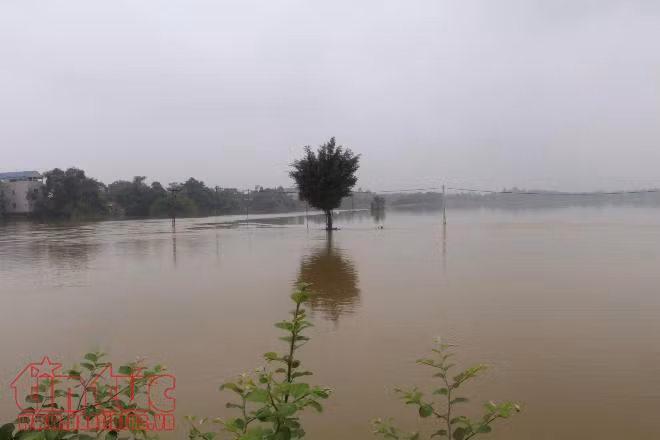 Chương Mỹ đang nỗ lực từng giây từng phút chống nước lũ, bảo vệ đê ảnh 4