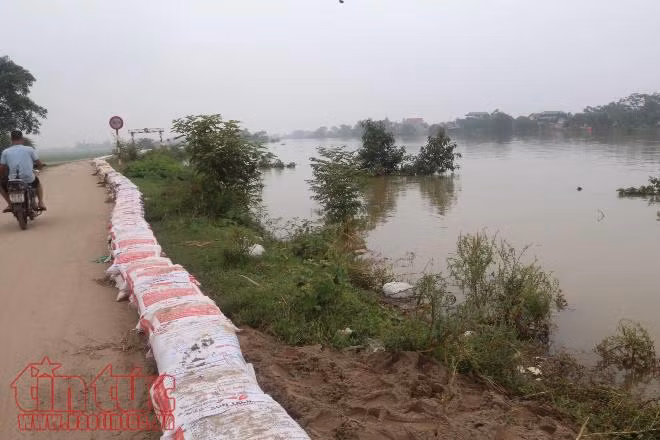 Chương Mỹ đang nỗ lực từng giây từng phút chống nước lũ, bảo vệ đê ảnh 2