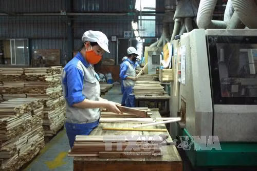 Ký kết quy chế phối hợp trong quản lý xuất, nhập khẩu lâm sản ảnh 1
