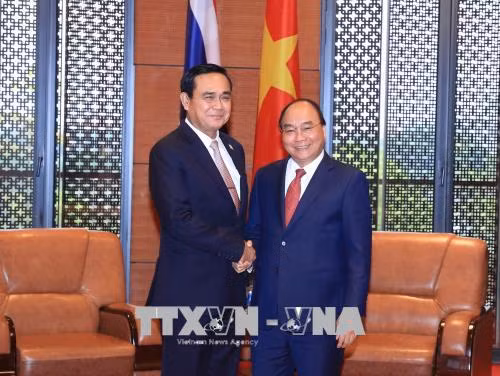 Tháo gỡ khó khăn trong nhập khẩu ô tô từ Thái Lan ảnh 1