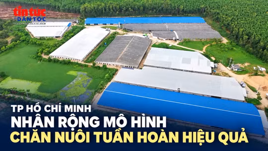 TP Hồ Chí Minh nhân rộng mô hình chăn nuôi tuần hoàn hiệu quả