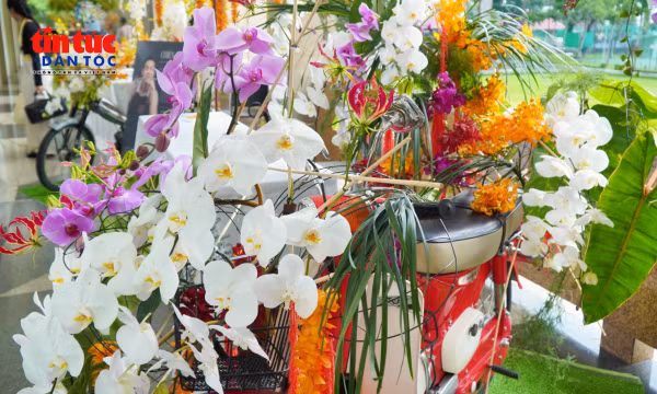 Hoa Việt tỏa sắc giữa không gian văn hóa và xe cổ