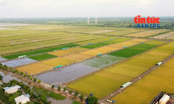 Minh bạch dữ liệu để nâng giá trị nông sản Việt