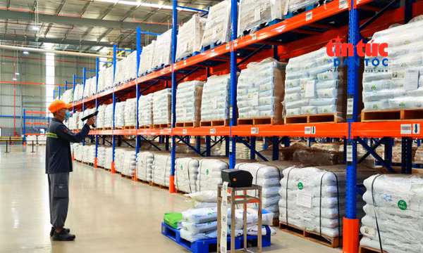 Phát triển nhân lực đáp ứng yêu cầu sản xuất trong thời đại AI