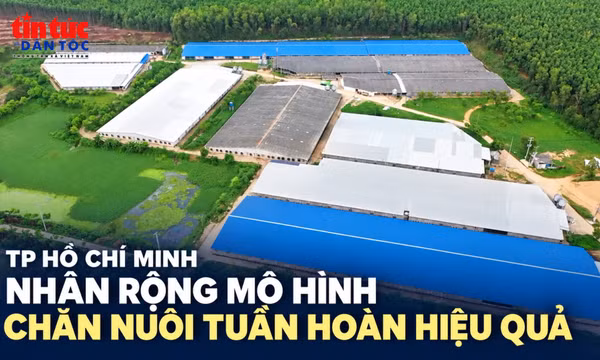 TP Hồ Chí Minh nhân rộng mô hình chăn nuôi tuần hoàn hiệu quả