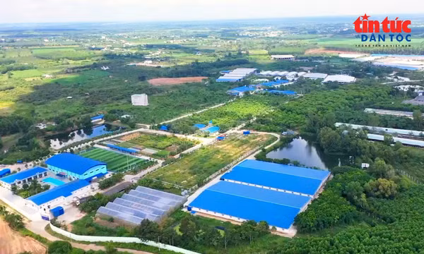 TP Hồ Chí Minh đẩy mạnh ứng dụng công nghệ trong sản xuất nông nghiệp
