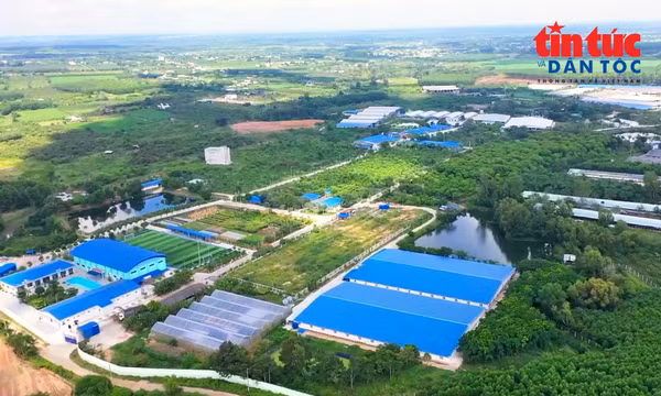 ‘Chuyển đổi kép’ kết hợp số hóa và xanh hóa trong sản xuất