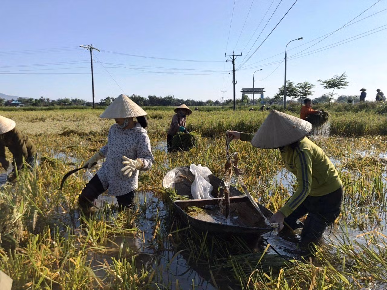 Chú thích ảnh