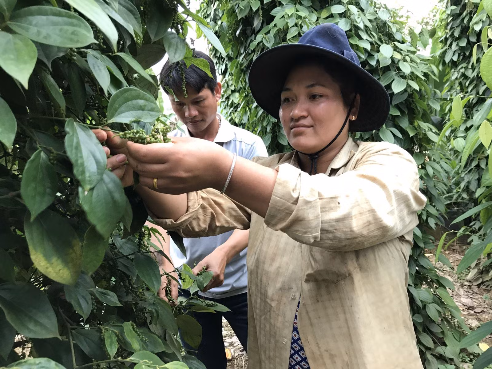 Chú thích ảnh