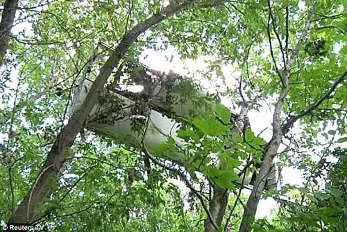 Tìm thấy mảnh vỡ MH17 lớn nhất và nhiều thi thể trong rừng rậm ảnh 2