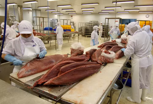 Hơn 170 công ty sẽ tham dự Hội chợ Thủy sản Quốc tế 2014 ảnh 1