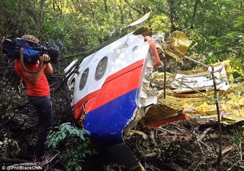 Tìm thấy mảnh vỡ MH17 lớn nhất và nhiều thi thể trong rừng rậm ảnh 1