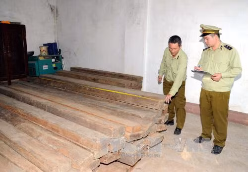 Đổ 8 m3 gỗ nghiến xuống đường rồi lái xe tháo chạy ảnh 1