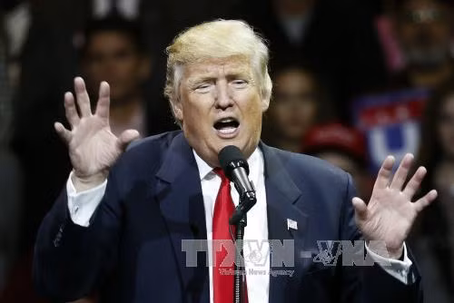 Đại cử tri Texas tuyên bố không bỏ phiếu bầu ông Trump ảnh 1