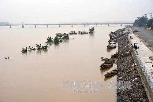 Lũ khẩn cấp trên các sông ảnh 1