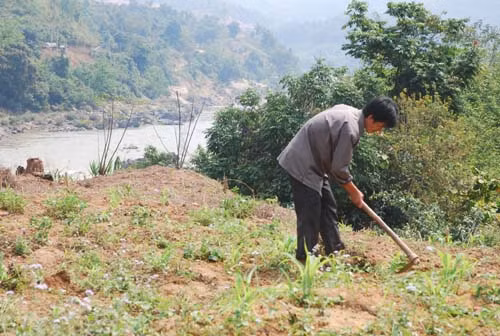 Hỗ trợ đất sản xuất để tạo kế sinh nhai cho đồng bào ảnh 1