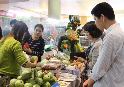 Khai mạc hội chợ đặc sản vùng miền Việt Nam 2016 ảnh 1