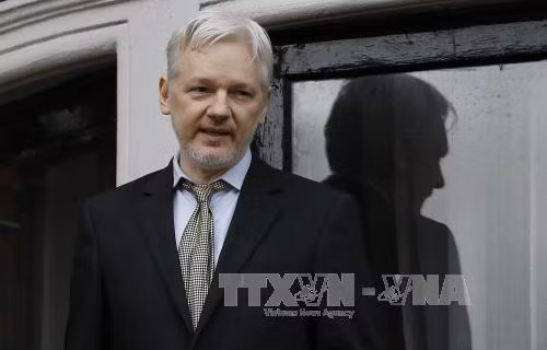 "Cha đẻ" Wikileaks có thể đòi Anh, Thụy Điển bồi thường ảnh 1