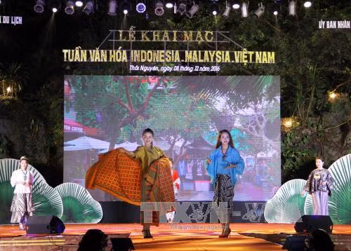 Khai mạc Tuần văn hóa Malaysia - Indonesia - Việt Nam ảnh 1