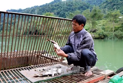 Mòn mỏi đợi công bố chất lượng môi trường nước sông Gâm ảnh 1