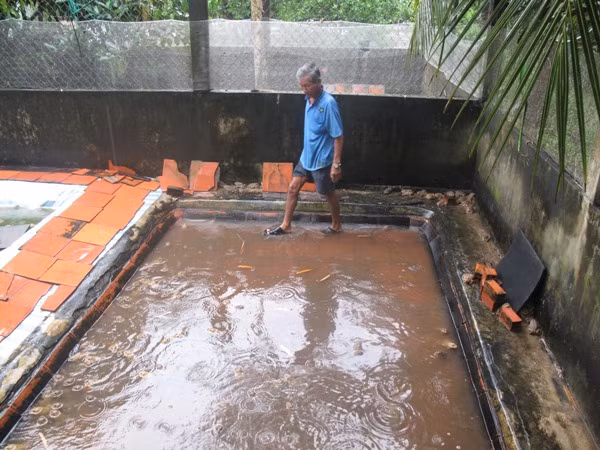 Khá lên nhờ tôm thẻ chân trắng ảnh 1