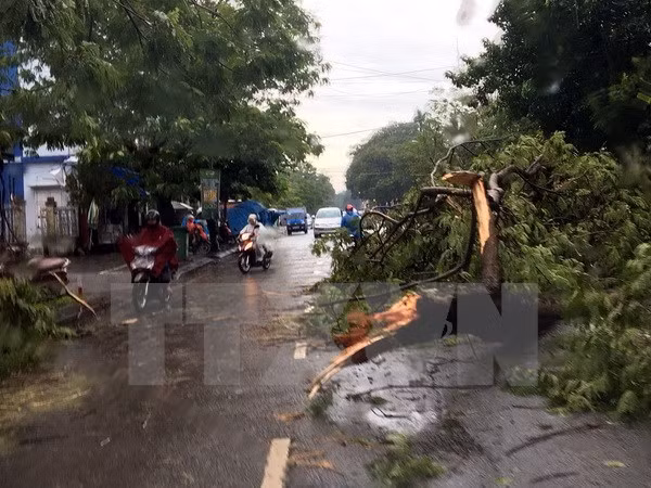 Các hồ thủy điện xả lũ tránh gây thiệt hại vùng hạ du ảnh 1