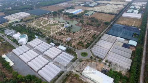 Một góc Khu Nông nghiệp công nghệ cao Thành phố Hồ Chí Minh. Ảnh: Mạnh Linh – TTXVN