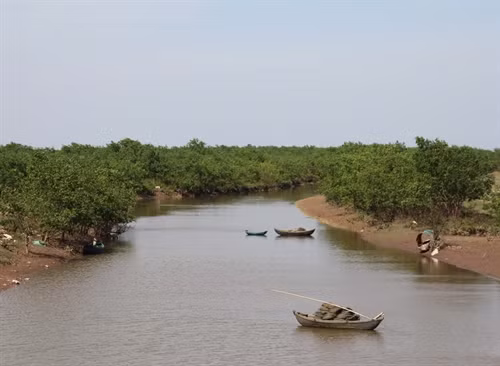 Cồn Đen có thảm thực vật còn khá nguyên sơ.