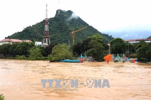 Mưa to kéo dài, cộng với các thủy điện đầu nguồn xả lũ nên nước sông Lô dâng cao gây ngập úng. Ảnh: Minh Tâm - TTXVN