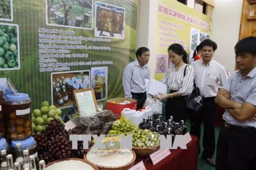Các gian hàng trưng bày, giới thiệu sản phẩm nông nghiệp tiêu biểu của tỉnh Yên Bái. Ảnh: Việt Dũng - TTXVN
