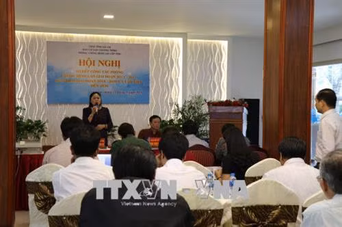 Bà Huỳnh Nữ Thu Hà, Phó Chủ tịch UBND tỉnh, Trưởng ban chỉ đạo Chương trình phòng chống bệnh Lao tỉnh Gia Lai, phát biểu tại Hội nghị. Ảnh: Hồng Điệp - TTXVN.
