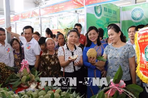 Các đại biểu và du khách thăm gian hàng trưng bày, giới thiệu sản phẩm na Mai Sơn. Ảnh: Nguyễn Cường - TTXVN.