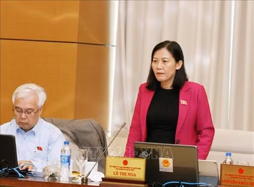 Chủ nhiệm Uỷ ban Tư pháp của Quốc hội Lê Thị Nga phát biểu. Ảnh: Nguyễn Dân -TTXVN