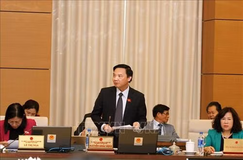Chủ nhiệm Uỷ ban Pháp luật của Quốc hội Nguyễn Khắc Định phát biểu. Ảnh: Nguyễn Dân -TTXVN