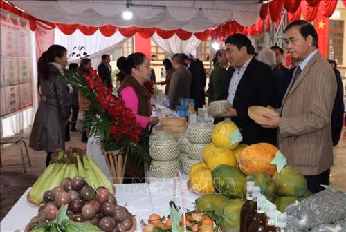 Gian hàng giới thiệu sản phẩm nông nghiệp và thủ công mỹ nghệ của xã Tân Vinh. Ảnh: Nhan Sinh- TTXVN