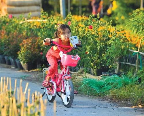 Con đường liên thôn đầy hoa 2 bên đường.