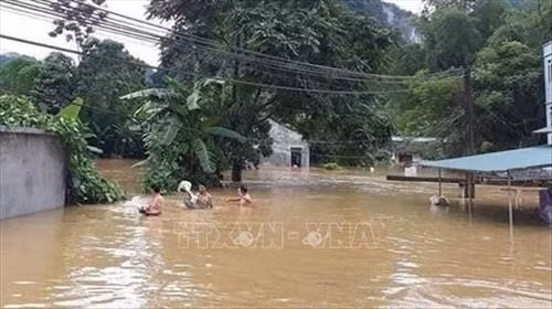 Nhiều khu dân cư ở huyện Trùng Khánh ngập sâu trong nước. Ảnh: TTXVN phát