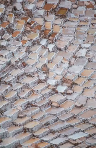 Những cánh đồng muối trên thế giới thường nằm gần biển nhưng đồng muối Maras ở Peru nằm ở độ cao 3.000 m trên dãy núi Andes. Ảnh: SCMP Từ thành phố miền đông nam Cusco, vượt qua chặng đường núi quanh co khoảng 40km, những ô muối trắng nổi bật trên xanh của cây và nâu vàng của đất đá hiện ra lung linh dưới ánh nắng vùng cao. Ảnh: Bored Panda Thăm đồng muối Maras ở thung lĩnh Inca linh thiêng của Peru, du khách thường lên đến tận đỉnh núi để nhìn xuống những ô muối trắng tinh trải dọc sườn đồi. Ảnh: Bored Panda Cách làm những ô muối này cũng tương tự như ruộng bậc thang ở Việt Nam. Ảnh: Bored Panda Theo chia sẻ của du khách, mỗi ô muối thuộc về một gia đình khác nhau. Ảnh: Bored Panda Đồng muối ở Maras có tới hơn 5.000 ô muối, mỗi ô chỉ khoảng 4m2, nhưng các diêm dân Peru không bao giờ nhầm lẫn ô muối của họ. Ảnh: SCMP Cánh đồng muối được nuôi dưỡng bằng hệ thống kênh dẫn phức tạp, lấy nước từ một dòng suối ngầm cực kỳ mặn. Nguyên nhân là vì khu vực này từng nằm hoàn toàn dưới đáy biển. Ảnh: Bored Panda Những biến động địa chất và dịch chuyển của thềm lục địa đã đẩy đáy biển lên và hình thành dãy núi Andes. Một lượng nước biển lớn bị mắc kẹt trong những kẽ đá và hình thành nên dòng suối ngầm chứa nước mặn mà dân ở đây gọi là Qoripujio. Ảnh: SCMP Du khách có thể sẽ không nhận ra suối Qoripujio bởi nó chỉ rộng có 20cm. Điểm đặc biệt là 2 bên bờ suốt đóng lớp muối dày và nước rất ấm. Ảnh: SCMP Nếu như di tích Inca mới chỉ xuất hiện từ đầu thế kỷ 13 thì dòng suối mặn cùng với những cánh đồng muối ở Maras có lịch sử từ thời Văn hóa Chanapata (từ 200 năm đến 900 năm trước Công nguyên). Ảnh: Bored Panda Những đầu bếp hàng đầu của Peru đếu hết lòng tán dương loại muối phớt hồng từ vùng núi Andes này. Ảnh: Bored Panda Muối ở Maras giờ có mặt tại những nhà hàng sang trọng hàng đầu ở Peru và được xuất khẩu sang Nhật Bản, Thụy Sỹ. Giá muối Maras trên trang mua sắm trực tuyến Amazon cao gấp 10 lần so với mua ngay tại địa phương. Ảnh: SCMP Muối Maras đặc biệt không chỉ ở vị và màu mà chính là từ lượng khoáng như magie, sát, canxi, kẽm… giúp giảm căng thẳng và ngăn ngừa các bệnh loãng xương, thiếu máu. Ảnh: SCMP