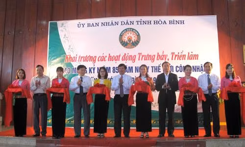 Lãnh đạo Tỉnh ủy, HĐND, UBND, Ban Tuyên giáo Tỉnh ủy và Sở Văn hóa, Thể thao và Du lịch cắt băng khai trương các hoạt động trưng bày, triển lãm. Ảnh: Vũ Thị Hà - TTXVN