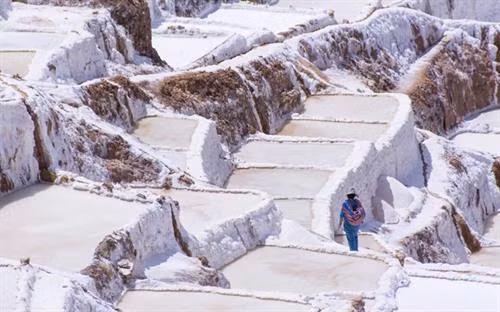 Những cánh đồng muối trên thế giới thường nằm gần biển nhưng đồng muối Maras ở Peru nằm ở độ cao 3.000 m trên dãy núi Andes. Ảnh: SCMP Từ thành phố miền đông nam Cusco, vượt qua chặng đường núi quanh co khoảng 40km, những ô muối trắng nổi bật trên xanh của cây và nâu vàng của đất đá hiện ra lung linh dưới ánh nắng vùng cao. Ảnh: Bored Panda Thăm đồng muối Maras ở thung lĩnh Inca linh thiêng của Peru, du khách thường lên đến tận đỉnh núi để nhìn xuống những ô muối trắng tinh trải dọc sườn đồi. Ảnh: Bored Panda Cách làm những ô muối này cũng tương tự như ruộng bậc thang ở Việt Nam. Ảnh: Bored Panda Theo chia sẻ của du khách, mỗi ô muối thuộc về một gia đình khác nhau. Ảnh: Bored Panda Đồng muối ở Maras có tới hơn 5.000 ô muối, mỗi ô chỉ khoảng 4m2, nhưng các diêm dân Peru không bao giờ nhầm lẫn ô muối của họ. Ảnh: SCMP Cánh đồng muối được nuôi dưỡng bằng hệ thống kênh dẫn phức tạp, lấy nước từ một dòng suối ngầm cực kỳ mặn. Nguyên nhân là vì khu vực này từng nằm hoàn toàn dưới đáy biển. Ảnh: Bored Panda Những biến động địa chất và dịch chuyển của thềm lục địa đã đẩy đáy biển lên và hình thành dãy núi Andes. Một lượng nước biển lớn bị mắc kẹt trong những kẽ đá và hình thành nên dòng suối ngầm chứa nước mặn mà dân ở đây gọi là Qoripujio. Ảnh: SCMP Du khách có thể sẽ không nhận ra suối Qoripujio bởi nó chỉ rộng có 20cm. Điểm đặc biệt là 2 bên bờ suốt đóng lớp muối dày và nước rất ấm. Ảnh: SCMP Nếu như di tích Inca mới chỉ xuất hiện từ đầu thế kỷ 13 thì dòng suối mặn cùng với những cánh đồng muối ở Maras có lịch sử từ thời Văn hóa Chanapata (từ 200 năm đến 900 năm trước Công nguyên). Ảnh: Bored Panda Những đầu bếp hàng đầu của Peru đếu hết lòng tán dương loại muối phớt hồng từ vùng núi Andes này. Ảnh: Bored Panda Muối ở Maras giờ có mặt tại những nhà hàng sang trọng hàng đầu ở Peru và được xuất khẩu sang Nhật Bản, Thụy Sỹ. Giá muối Maras trên trang mua sắm trực tuyến Amazon cao gấp 10 lần so với mua ngay tại địa phương. Ảnh: SCMP Muối Maras đặc biệt không chỉ ở vị và màu mà chính là từ lượng khoáng như magie, sát, canxi, kẽm… giúp giảm căng thẳng và ngăn ngừa các bệnh loãng xương, thiếu máu. Ảnh: SCMP