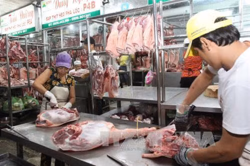 Kiểm tra heo có đeo vòng nhận diện và có đầy đủ thông tin truy xuất nguồn gốc vào chợ Hóc Môn. Ảnh: Thanh Vũ-TTXVN
