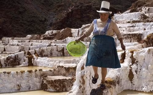 Những cánh đồng muối trên thế giới thường nằm gần biển nhưng đồng muối Maras ở Peru nằm ở độ cao 3.000 m trên dãy núi Andes. Ảnh: SCMP Từ thành phố miền đông nam Cusco, vượt qua chặng đường núi quanh co khoảng 40km, những ô muối trắng nổi bật trên xanh của cây và nâu vàng của đất đá hiện ra lung linh dưới ánh nắng vùng cao. Ảnh: Bored Panda Thăm đồng muối Maras ở thung lĩnh Inca linh thiêng của Peru, du khách thường lên đến tận đỉnh núi để nhìn xuống những ô muối trắng tinh trải dọc sườn đồi. Ảnh: Bored Panda Cách làm những ô muối này cũng tương tự như ruộng bậc thang ở Việt Nam. Ảnh: Bored Panda Theo chia sẻ của du khách, mỗi ô muối thuộc về một gia đình khác nhau. Ảnh: Bored Panda Đồng muối ở Maras có tới hơn 5.000 ô muối, mỗi ô chỉ khoảng 4m2, nhưng các diêm dân Peru không bao giờ nhầm lẫn ô muối của họ. Ảnh: SCMP Cánh đồng muối được nuôi dưỡng bằng hệ thống kênh dẫn phức tạp, lấy nước từ một dòng suối ngầm cực kỳ mặn. Nguyên nhân là vì khu vực này từng nằm hoàn toàn dưới đáy biển. Ảnh: Bored Panda Những biến động địa chất và dịch chuyển của thềm lục địa đã đẩy đáy biển lên và hình thành dãy núi Andes. Một lượng nước biển lớn bị mắc kẹt trong những kẽ đá và hình thành nên dòng suối ngầm chứa nước mặn mà dân ở đây gọi là Qoripujio. Ảnh: SCMP Du khách có thể sẽ không nhận ra suối Qoripujio bởi nó chỉ rộng có 20cm. Điểm đặc biệt là 2 bên bờ suốt đóng lớp muối dày và nước rất ấm. Ảnh: SCMP Nếu như di tích Inca mới chỉ xuất hiện từ đầu thế kỷ 13 thì dòng suối mặn cùng với những cánh đồng muối ở Maras có lịch sử từ thời Văn hóa Chanapata (từ 200 năm đến 900 năm trước Công nguyên). Ảnh: Bored Panda Những đầu bếp hàng đầu của Peru đếu hết lòng tán dương loại muối phớt hồng từ vùng núi Andes này. Ảnh: Bored Panda Muối ở Maras giờ có mặt tại những nhà hàng sang trọng hàng đầu ở Peru và được xuất khẩu sang Nhật Bản, Thụy Sỹ. Giá muối Maras trên trang mua sắm trực tuyến Amazon cao gấp 10 lần so với mua ngay tại địa phương. Ảnh: SCMP Muối Maras đặc biệt không chỉ ở vị và màu mà chính là từ lượng khoáng như magie, sát, canxi, kẽm… giúp giảm căng thẳng và ngăn ngừa các bệnh loãng xương, thiếu máu. Ảnh: SCMP