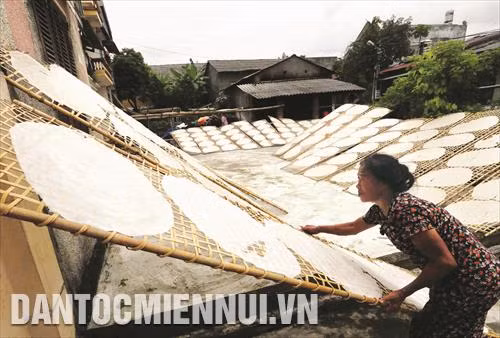 Việc sản xuất phở khô hiện nay của các hộ dân ở thị trấn Phủ Thông vẫn chưa đáp ứng đủ nhu cầu của thị trường trong và ngoài tỉnh