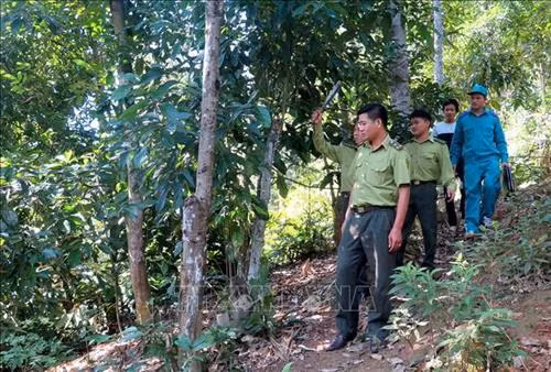 Lực lượng kiểm lâm Hạt kiểm lâm huyện Lâm Bình tuần tra, kiểm tra bảo vệ rừng. Ảnh: Văn Tý - TTXVN